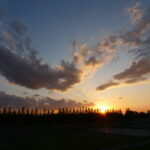 夕陽と田んぼ
